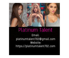 Busy Agency Seeking Entertainers - Cash Daily / No Experience Needed